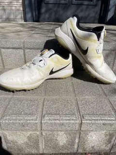 【練習用にお勧め】NIKEゴルフシューズ28cm