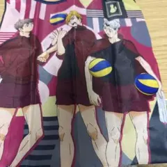 ハイキュー‼︎ かぷばっぐ 稲荷崎高校
