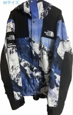 SUPREME THE NORTH FACE Mountain Parka 雪山のサムネイル