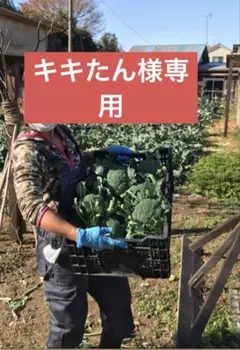 キキたん様専用