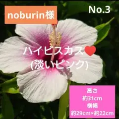 noburin様 リクエスト 3点 まとめ商品