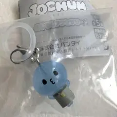 JOCHUM めじるしアクセサリー ガチャガチャ キーホルダー マイクン
