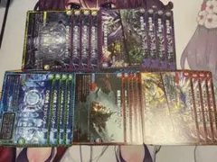 デュエキングWDream2025 フィールド　各4枚