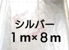 Item thumbnail for item 52cb537a-a5ad-45a3-a6a2-09272e8c1aeb