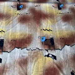 Item thumbnail for item ca6a2f5c-9f3d-4711-aaba-1e683216c4c4