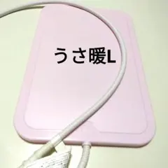 Item thumbnail for item eba02967-326c-4c5b-8002-cea7587d1e74