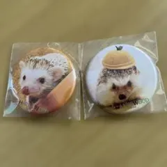 ハリネズミ 缶バッヂ ピンバッジ ハリネズミカフェ 動物 アニマル