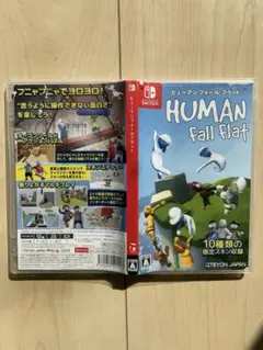 ヒューマンフォールフラット　switch