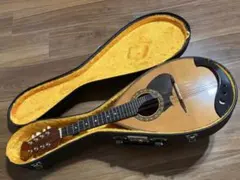 2025年最新】SUZUKI マンドリン m-210の人気アイテム - メルカリ