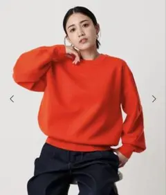 ポリエステルブレンド ミラノリブ プルオーバー　ニット