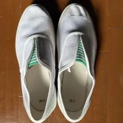 Item thumbnail for item ca2cfbf7-3ebc-4512-ae17-dd12ff6720be