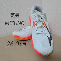 Item thumbnail for item 60de428f-3dde-4f01-a541-cce543727258