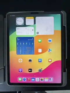 iPad Pro 12.9 第5世代 256GB スペースグレイ【ジャンク品】