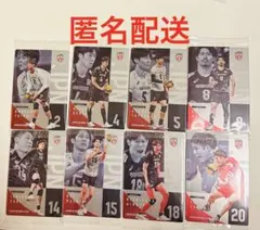 バレーボール男子日本代表 ツインウエハース8枚セット