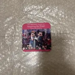 ディズニーコースター　Imagining the Magic ミッキー・ミニー