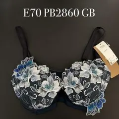 E70 PB2860 GB ワコール　ウイング　レシアージュ ブラジャー