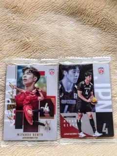 バレーボール日本代表 宮浦健人 アクリルカード