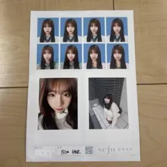 せじゅです。ラッフルくじ 向井 怜衣 証明写真風ブロマイド - メルカリ
