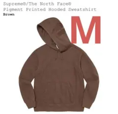Supreme The North Face Hooded Sweatshirt