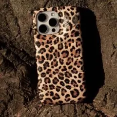 urban sophistication レオパード