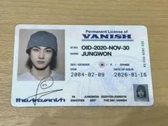 THE SIN：VANISH JUNGWON K-POP 永久ライセンスカード