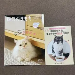 Item thumbnail for item 73e175d6-d7b0-48f6-987a-27e260a9b6bb