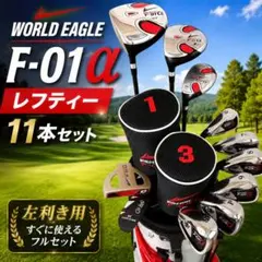 希少レフティ】ワールドイーグル X-01 メンズ クラブセット 12本 R 左
