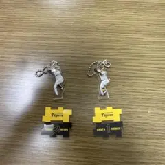 阪神タイガース 選手キーホルダーセット