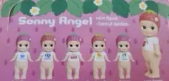 韓国限定　超レア　ソニーエンジェル　ポクチュモニ　いちごシリーズ 韓国限定 超レア ソニーエンジェル ポクチュモニ いちごシリーズ