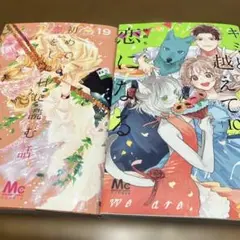 初めて恋をした日に読む話 19/キミと越えて恋になる10/帯無し