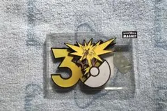 ポケモン30周年 マグネット サンダース中国ポケセン限定 - メルカリ