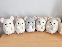 チンチラのララちゃん ころりんギミック ぬいぐるみ　AMUFUN タイトー限定