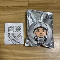 福岡ソフトバンクホークス 鷹祭2026 上沢直之選手 缶バッジ＆キーホルダーのサムネイル