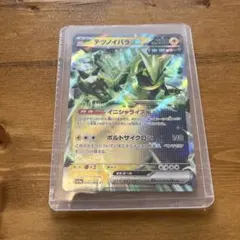 テツノイバラ　ex