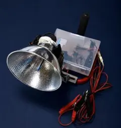 IWASAKI アイ水銀ランプ HF200X 200W 2個セット - メルカリ