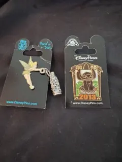 ディズニーパーク　ピンズ2個セット