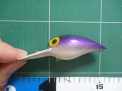 ストーム　ウイグルワート/ウィグルワート　パープルシャッドカラーのサムネイル