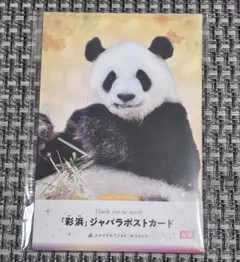 アドベンチャーワールド 彩浜バスタオル ★新品・未開封 2025年最新】彩浜の人気アイテム - メルカリ