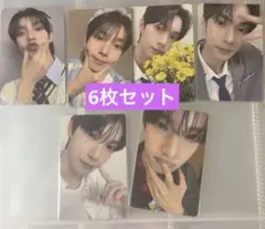 リブ ボイプラ タレントカード