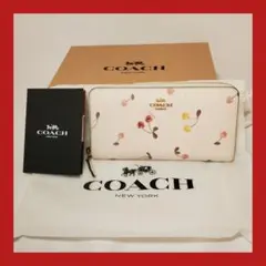 Item thumbnail for item 86cba3f2-bd0d-4aca-b7fc-339de98e54f4