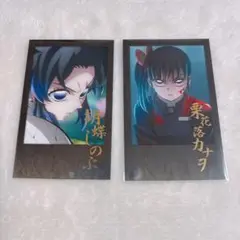 ufotable DINING 胡蝶しのぶ　栗花落カナヲ　チェキ①