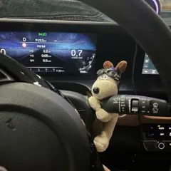 Item thumbnail for item 3a2ec82d-c5e1-400a-8945-fddb7ba3e48b