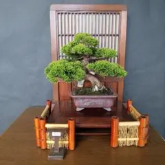 2025年最新】美芸 盆栽鉢の人気アイテム - メルカリ