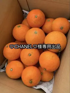 ♡CHANEL♡様専用出品