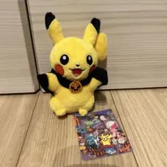 ポケモンセンター ハロウィン ぬいぐるみ ピカチュウ 2008