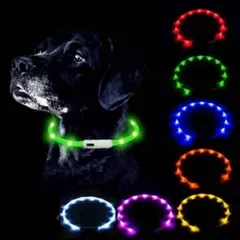 Item thumbnail for item d646c315-a986-45e2-927f-3eb8037e59c1