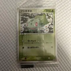 フシギダネ PROMO ADV-Pプロモカード 051/ADV 激レア【未開封】