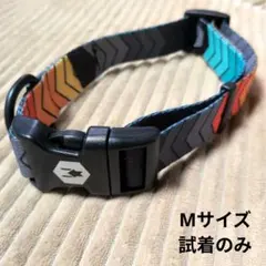 Item thumbnail for item 1de7146e-6b7d-4537-ae86-3553bc3867db