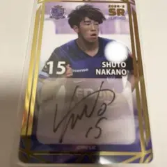 2025年最新】オンサイトカード サンフレッチェ広島の人気アイテム