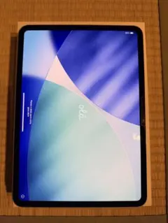 Apple iPad Pro シルバー M4 本体 付属品付き 256GB